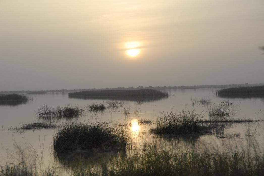 Yako (Burkina Faso)