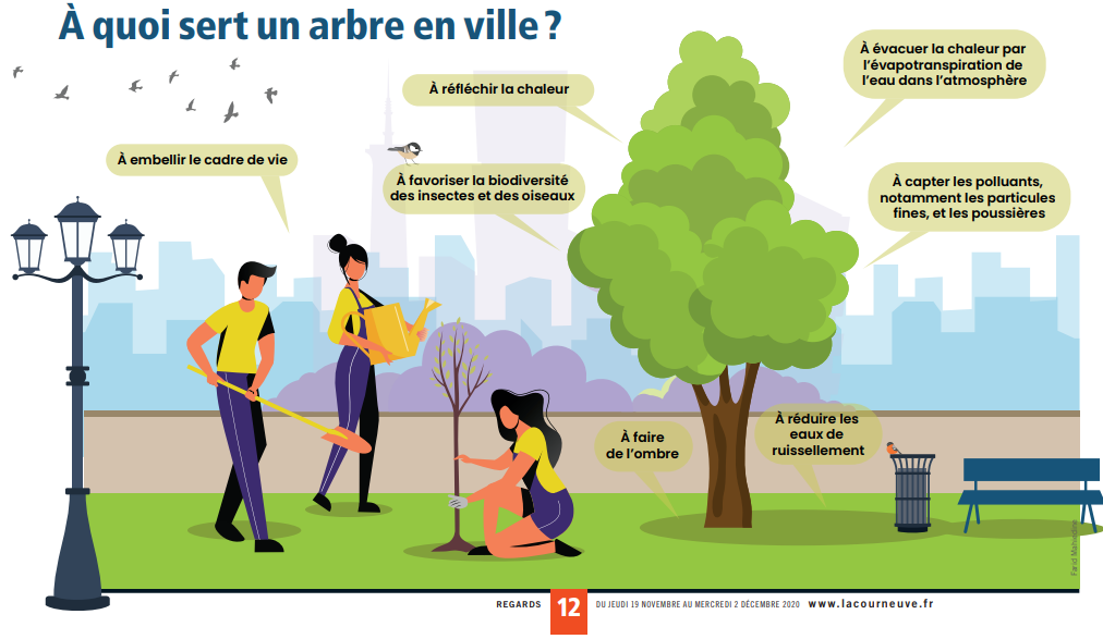 infographie arbre