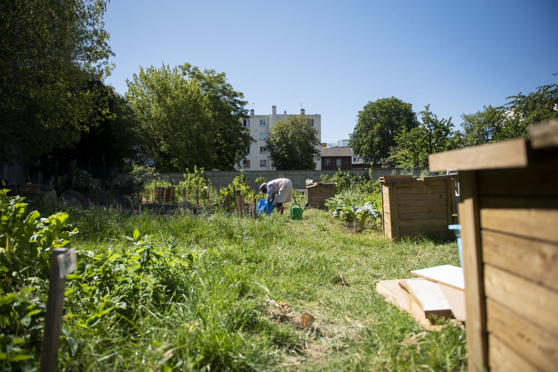 Jardins partagés