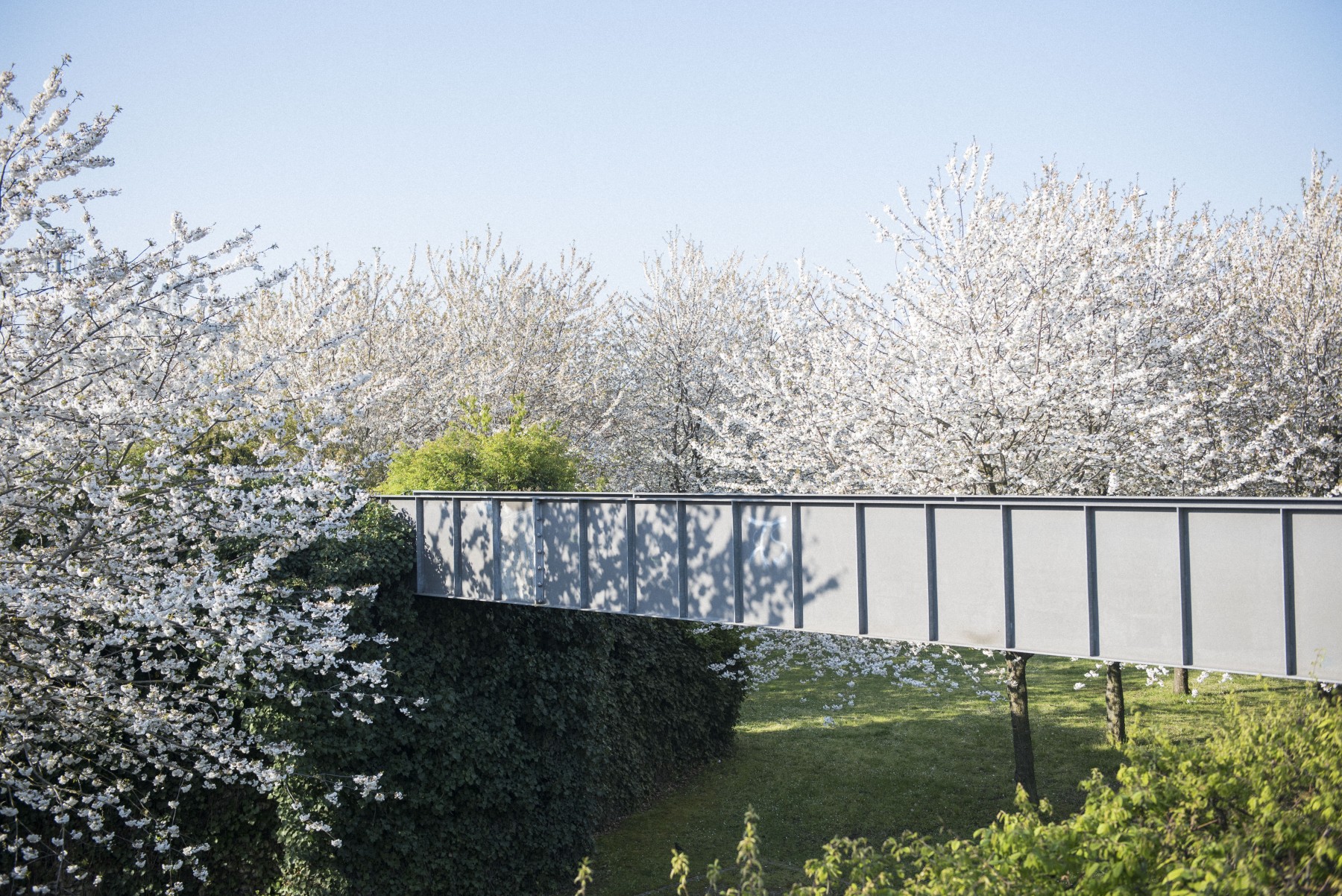 La Courneuve ville fleurie