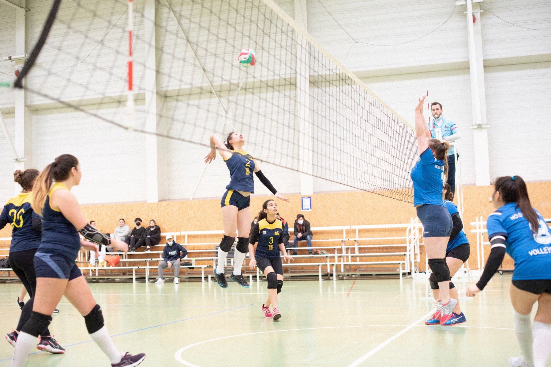 Volley ball
