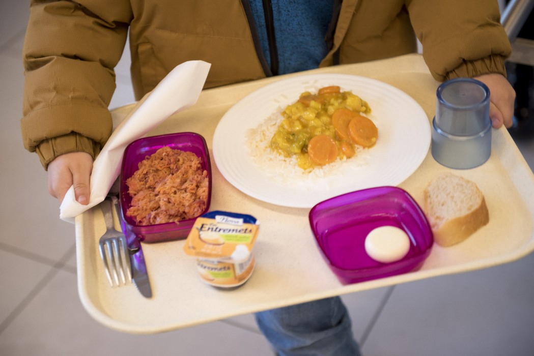 Alimentation équilibrée