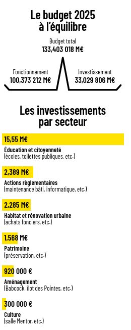 inforgraphie budget
