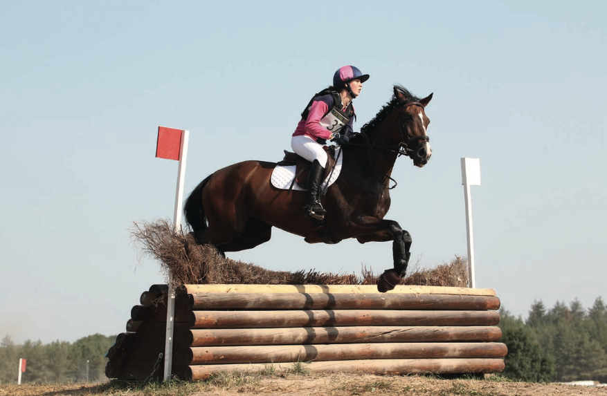 Championnat de France d'équitation Juillet 2019