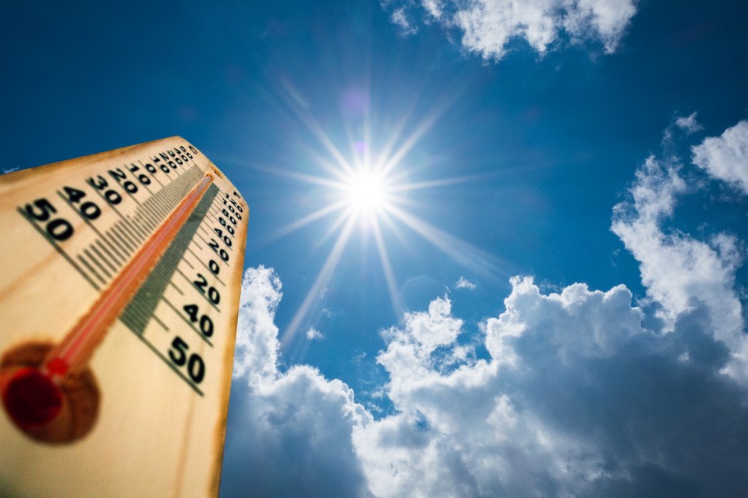 canicule