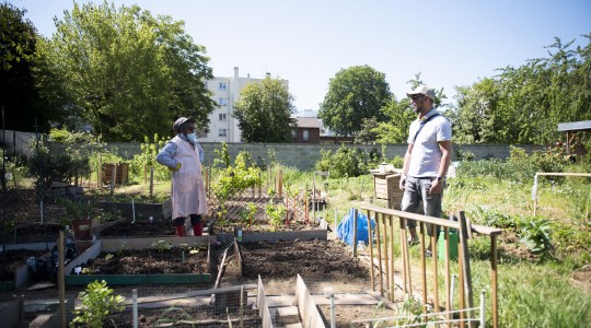 Jardins partagés