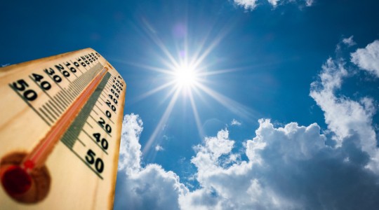 canicule