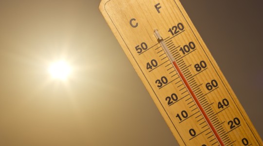 canicule