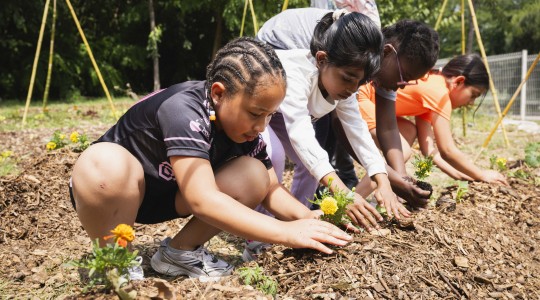 Permaculture