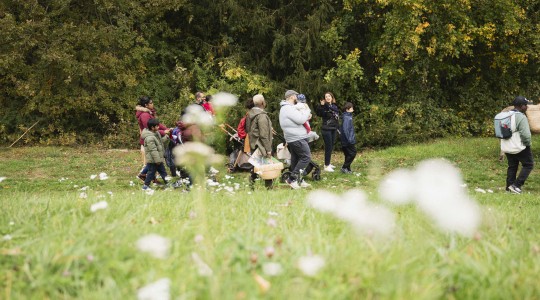 sortie Auvers