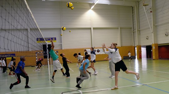 Volley