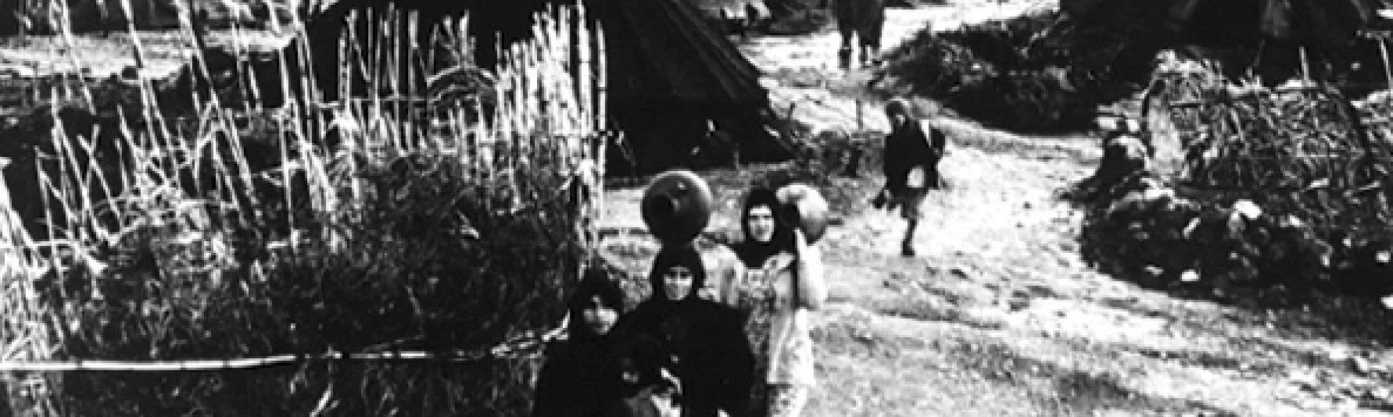 Palestine, le désastre continu : 1948-2019, avant et après la Nakba