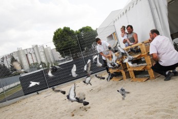 LC plage 2009